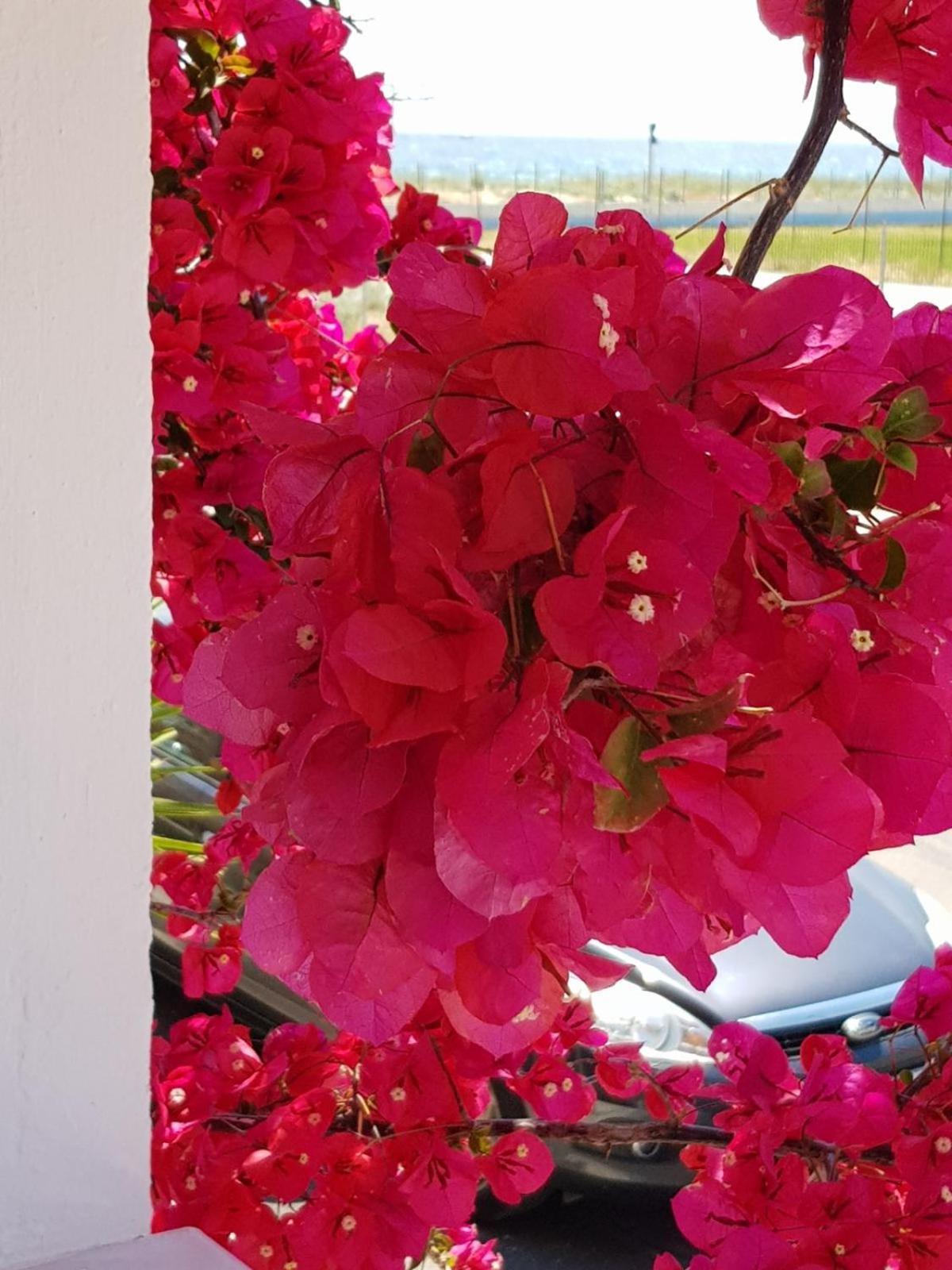 Villa Virozi Sarti Oda fotoğraf